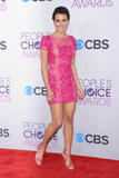 th_22954_Lea_Michele_39th_Annual_Peoples_Choice_Awards_in_LA_January_9_2013_121_122_93lo.jpg